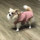 이가네푸드 이미지