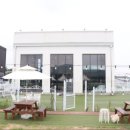 몽드드뚜뚜 이미지