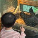 해피주 동물카페 원주점 | 원주 실내동물원 추천 | 아이랑 주말에 가볼만한 곳 해피주 후기(두돌아기)