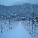 햇살찬농장 이미지