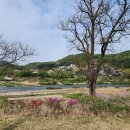 강가황토펜션 이미지