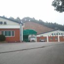 DY푸드