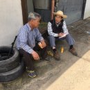 군령포마을 이미지