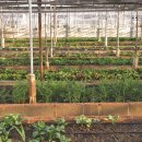 문헌농장 이미지