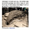 가장 완벽하게 남아있는 공룡 화석 이미지