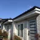 황룡stay 이미지