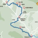 팔공산 둘레길 5구간 네이버블로그