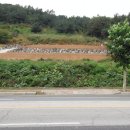 헤이리로(헤이리맞은편 1번게이트) 이미지