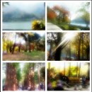 뉴OK공인중개사사무소 이미지