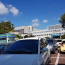 이파리의료원로타리점 이미지