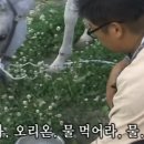 오리온농장 이미지