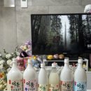 도평리도토리네 | 포천막걸리 원조이동막걸리직매장 생막걸리 동동주 맛집 택배 가능