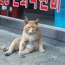 한국강산