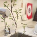 죽이야기옥계점 이미지