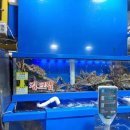 가락시장역 2번출구 이미지