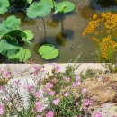 바루지금 이미지