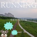 금강2단계스포츠공원 | 새롭게 도전! 러닝 ㅡ 대평동도서관 &#39;대평런, 독서클럽&#39; 후기 + 무라카미 하루키 달리기 에세이 책 리뷰