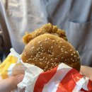 상도역 KFC 행사 메뉴 런치킨박스 추천, 징거버거 1,000원 할인쿠폰