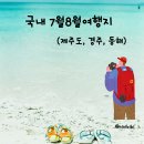 남홍횟집 | 국내7월8월여행지 베스트 3명소 (제주도,경주,동해)