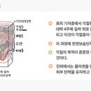 정안메디칼 이미지