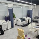 수원-0429 이미지