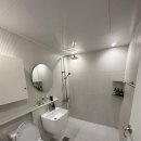 스테이다독 이미지