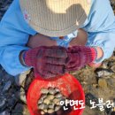 노블레스팬션 이미지