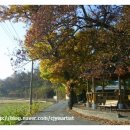 호당미술관 이미지