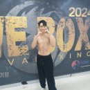 복싱바이러스 이미지