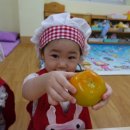 시은 푸드 이미지