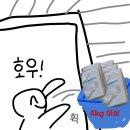 쿠팡 안성 허브 알바 하는일, 휴게시간, 꿀팁