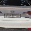 프로칼라덴트 이미지