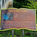 초롱길 이미지