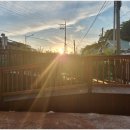 삼가1통 이미지