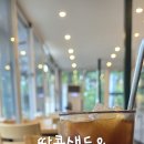 땅콩샌드네 이미지