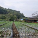 경남고성부동산 경남고성부동산전원주택지매매 - 영오면 마을끝자락 자그마한 토지 전원주택지매매 379제곱미터 (114) 이미지