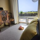 종달차경(메리골드) 이미지