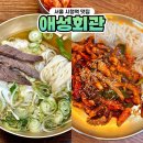 세창빌딩 | 시청역 맛집 애성회관 국내산 한우곰탕(보통) 낙지볶음 주말방문 내돈내산 솔직후기