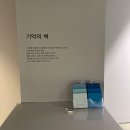 용인 뮤지엄그라운드 전시 전광영&amp;소장전 체험 카페 아이랑