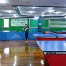 새연탁구교실