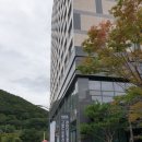 정선사북교차로점 | [강원도여행] 그랜드인투라온호텔정선 후기&amp; 동강여행