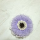 더��(THE) 이미지