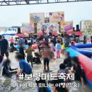 (주)진성에너지 | 대천 충남 보령머드축제 기본정보, 후기(기간, 가수, 준비물)