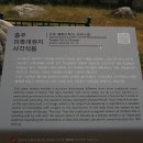 석불입상(石佛立像) 이미지