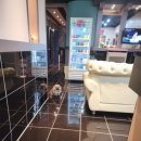 쭈우노래연습장 이미지