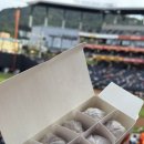 동복야구장 야구장 이미지