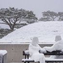산 - 태백시 황지연못길 19 | 산