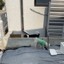 댕댕지구 | 왜관 애견카페 댕댕빌리지 강아지가 더 행복해지는 공간