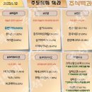 2023년 9월 12일 내일 시가단타 예상, 상한가 및 급등주, 시간외 특징주 이미지