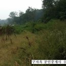 구자옥공인중개사사무소 이미지